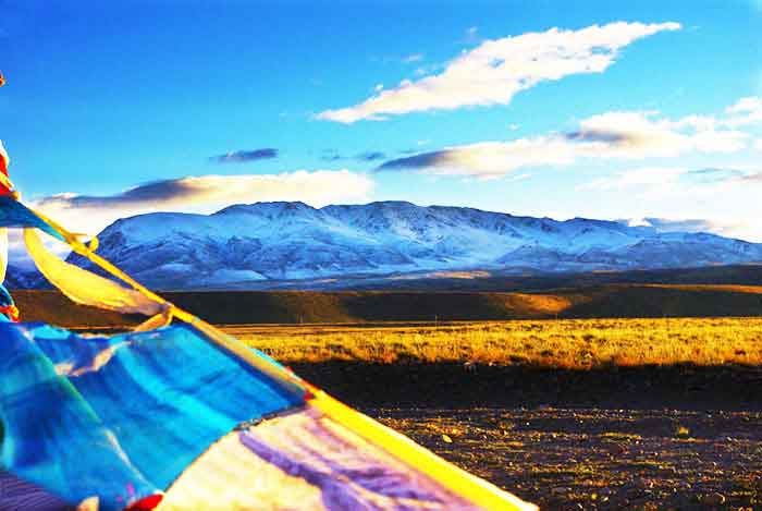 ����Ӻ��