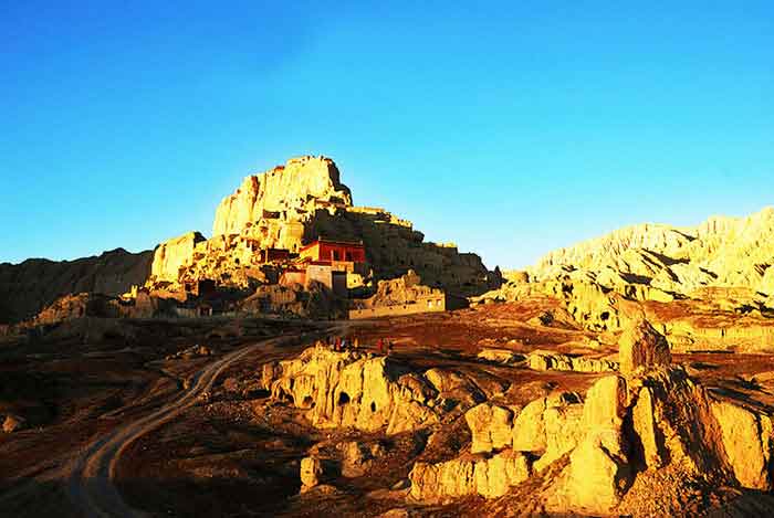 �Ÿ�����