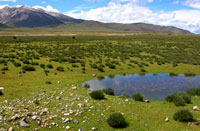 ������������ľ������֥˫��������